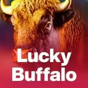 Lucky Buffalo